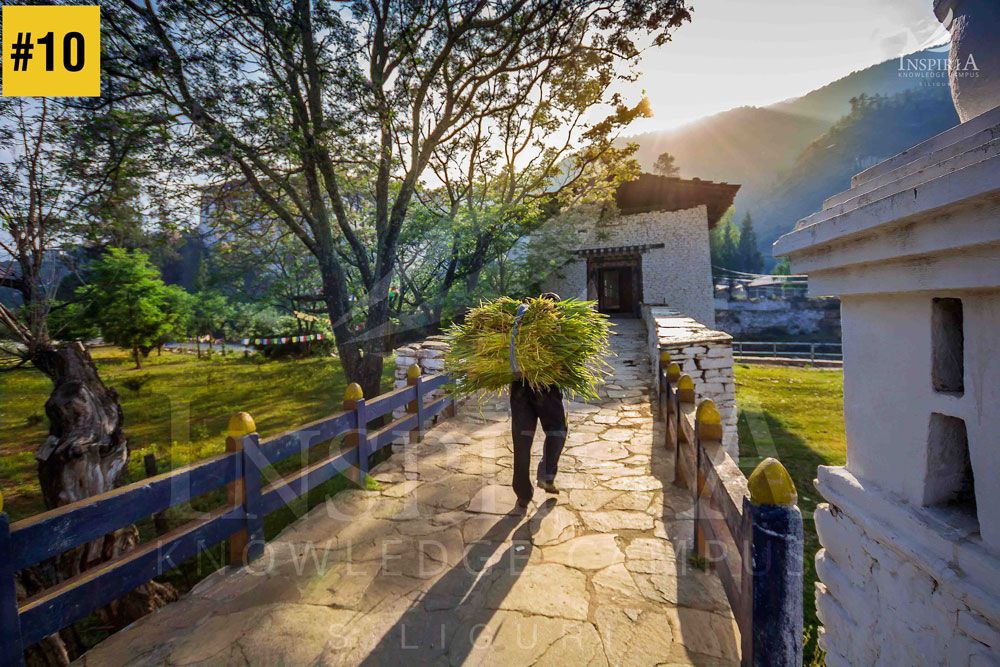 Rinpung Dzong, Paro — man carrying grass