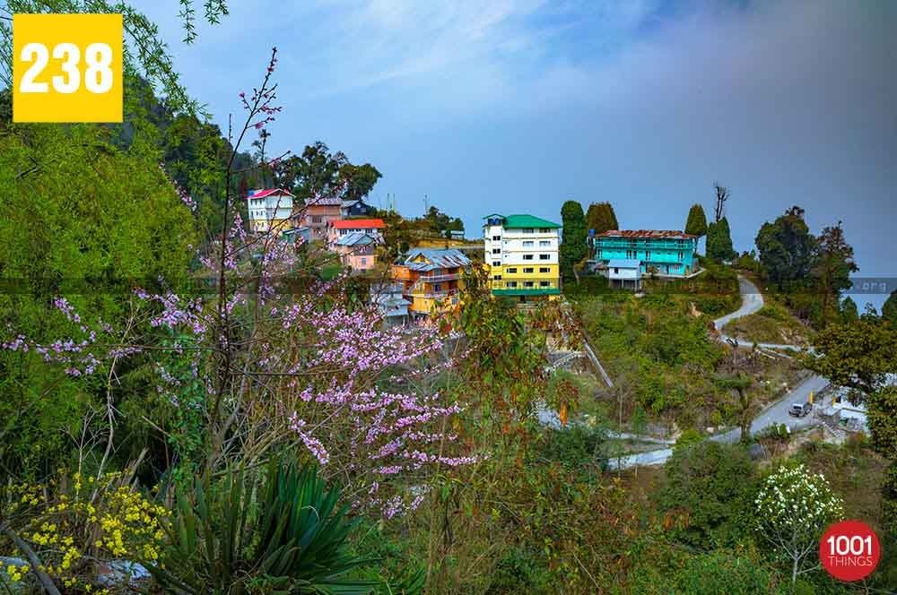 Rishyap, Kalimpong