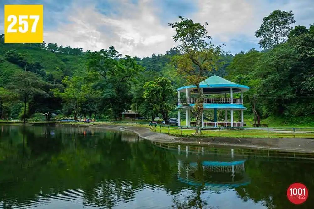 Rohini Lake, Kurseong