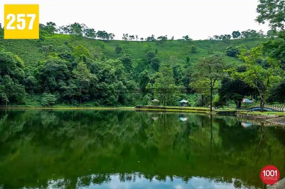 Rohini Lake, Kurseong
