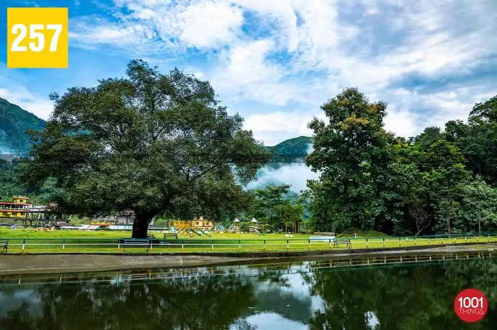 Rohini Lake, Kurseong