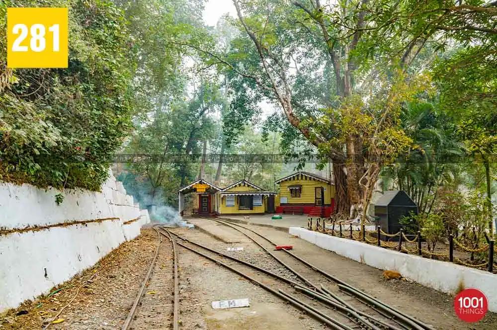 Hike from Rongtong to Shiva Khola: A Journey Through Serenity and Adventure