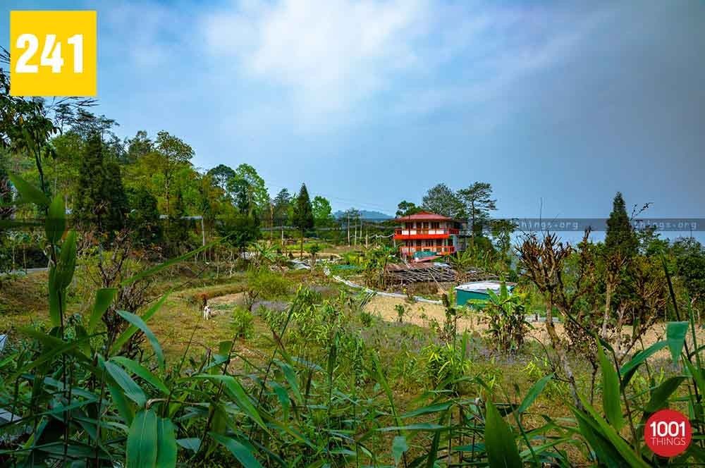 Samthar, Kalimpong