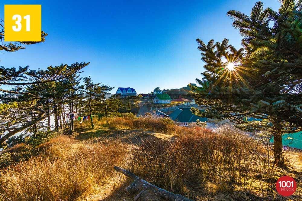 Sandakphu Trek, Darjeeling