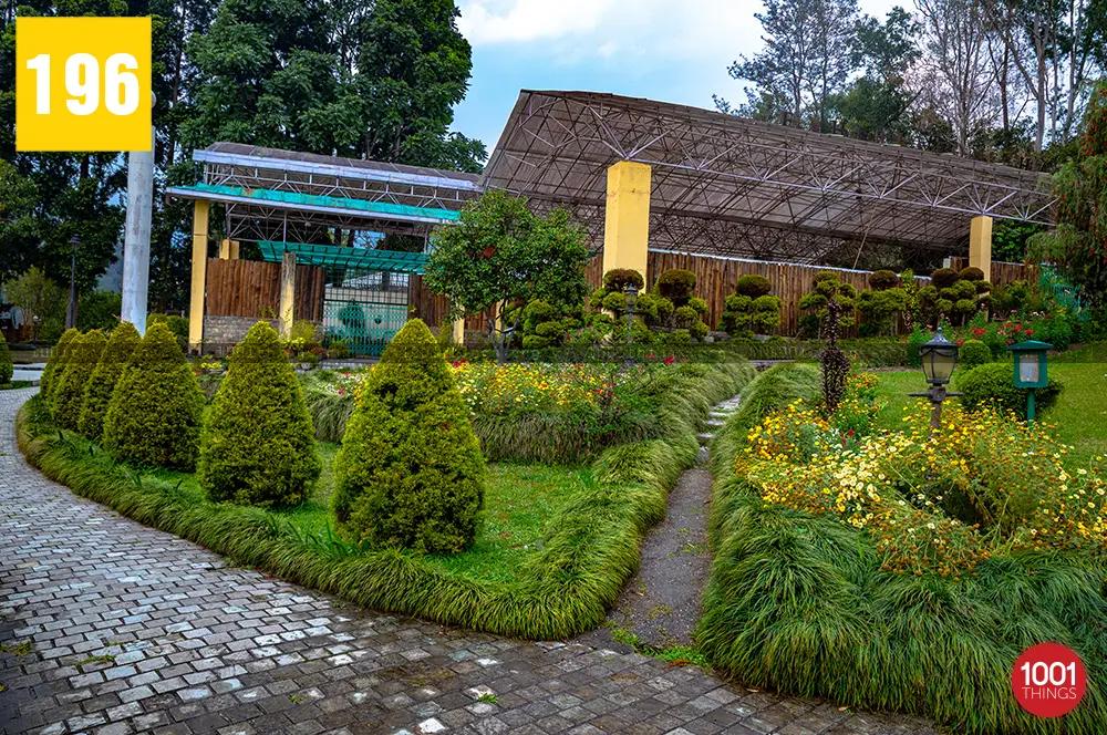 saramsa garden 4