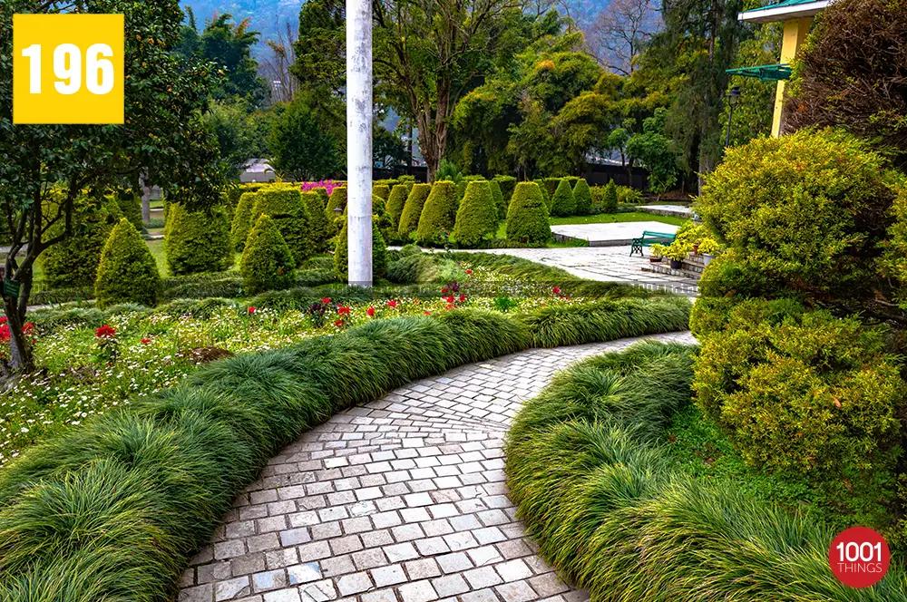 saramsa Garden 5