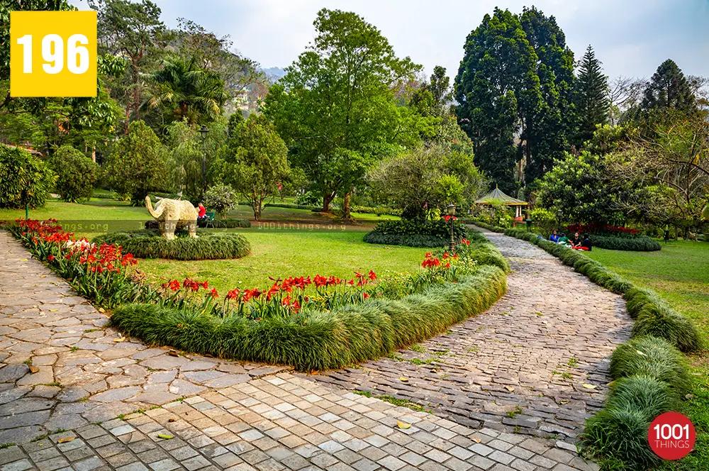 saramsa Garden 7