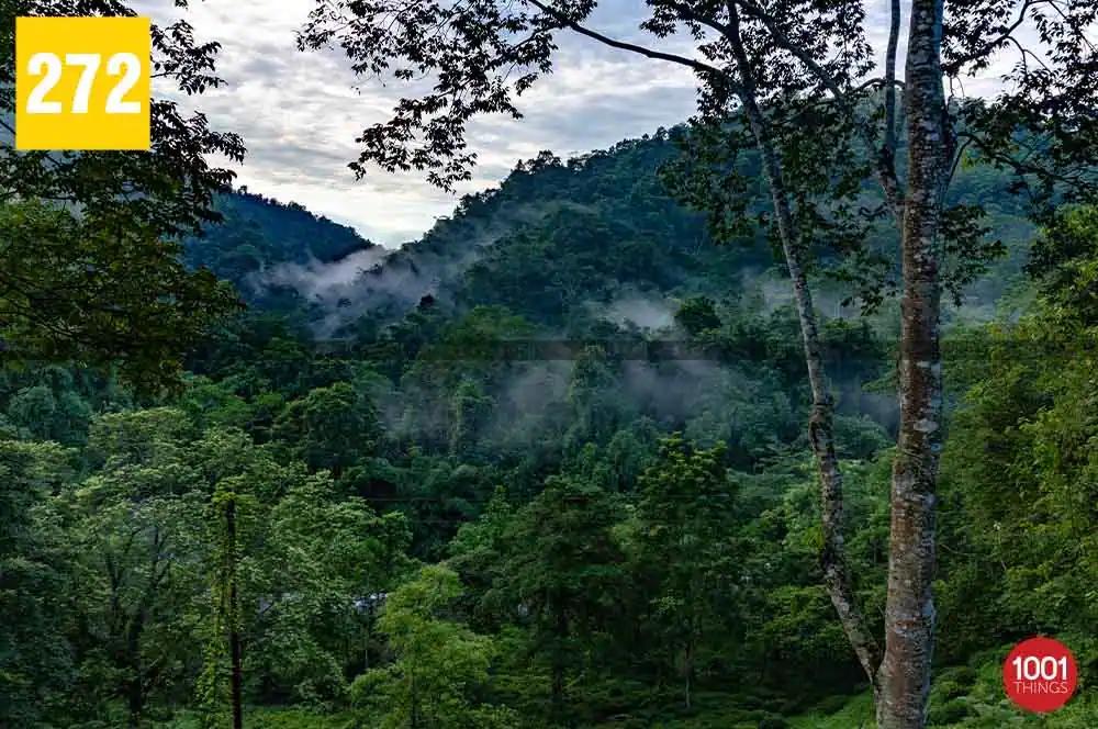 Shivkhola to Tindharia