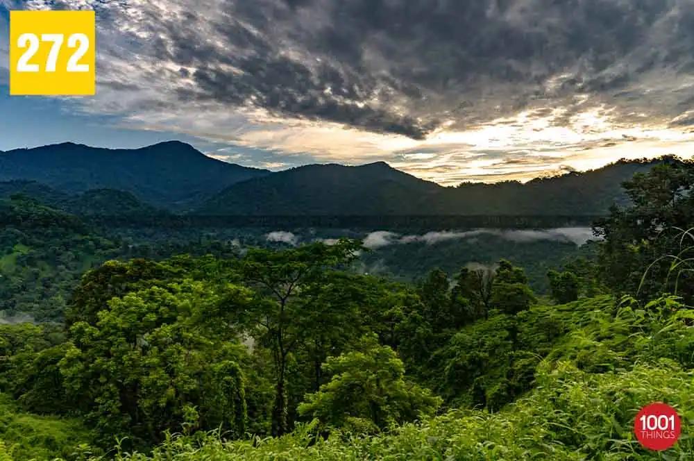 Shivkhola to Tindharia
