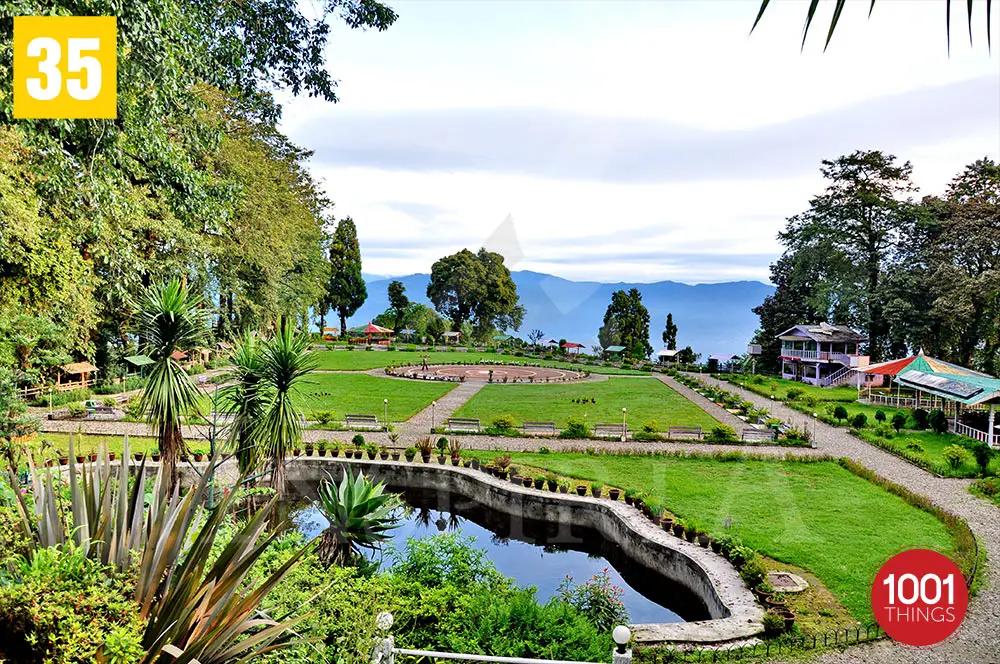 Shrubbery Nightingale Park Rear View Darjeeling