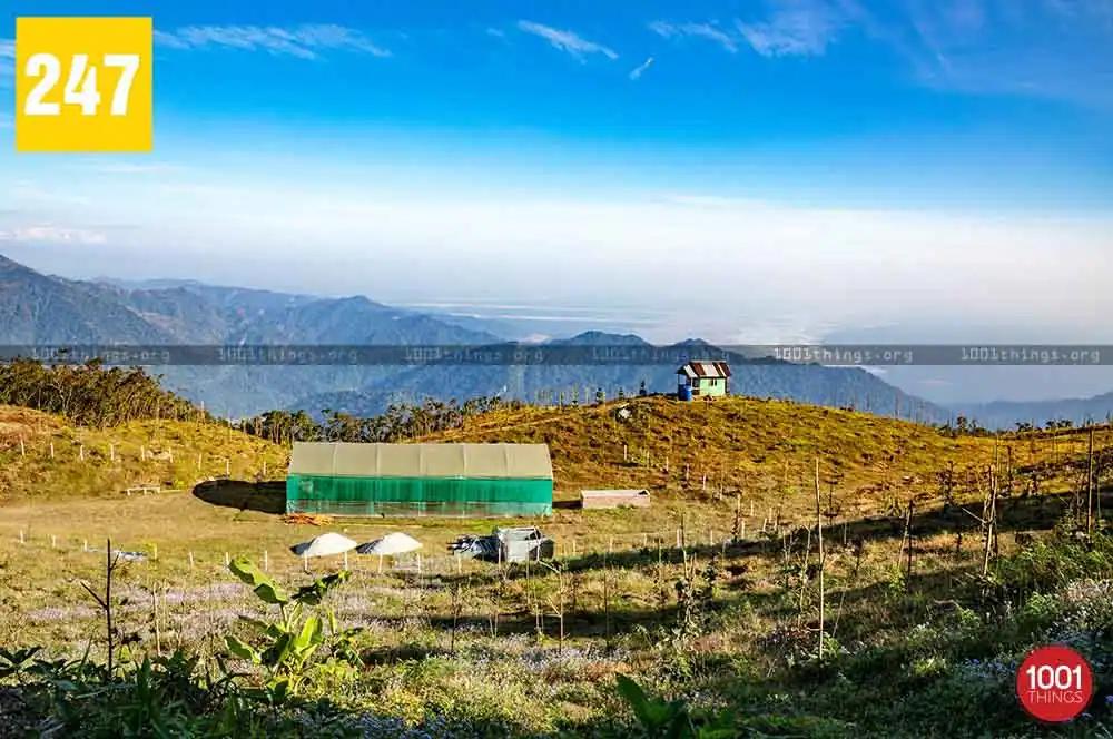 Sittong, Darjeeling