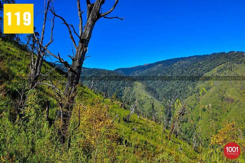Srikhola — wild fire