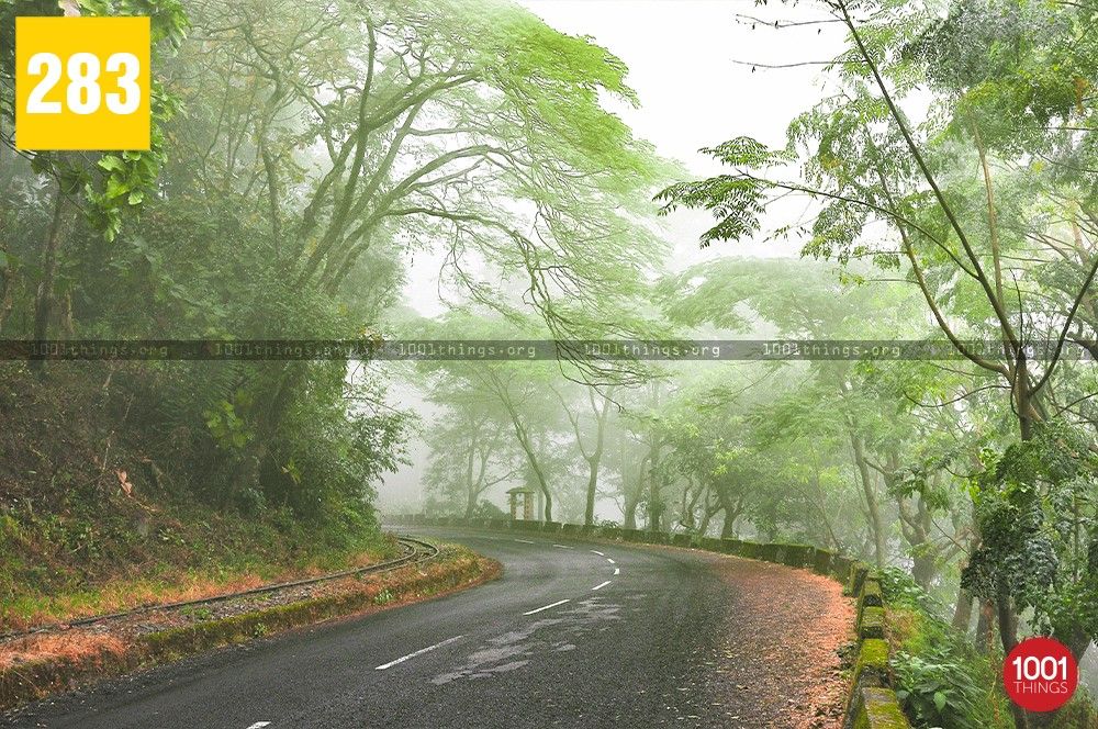 Sukna to Chunbhatti: Hiking Through Forests and Hills Along the Toy Train's Route