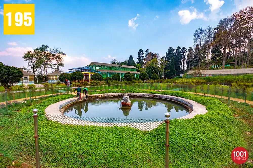 Orchid Centre Takdah 5