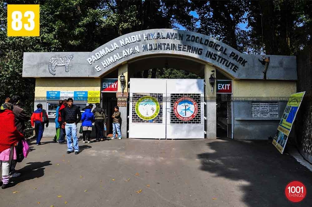 Main entrance at The Padmaja Naidu Himalayan Zoological Park