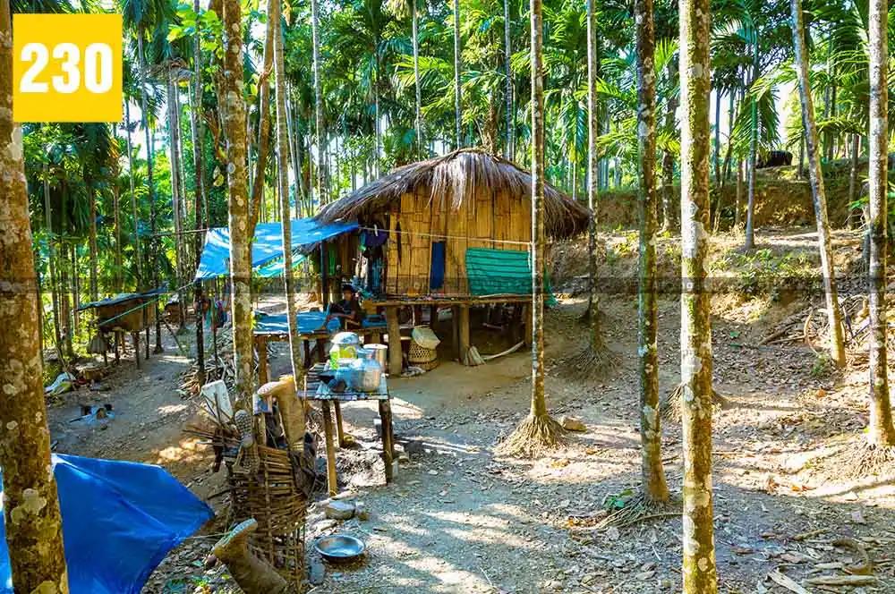 Totopara - The Idyllic World of Toto Tribes