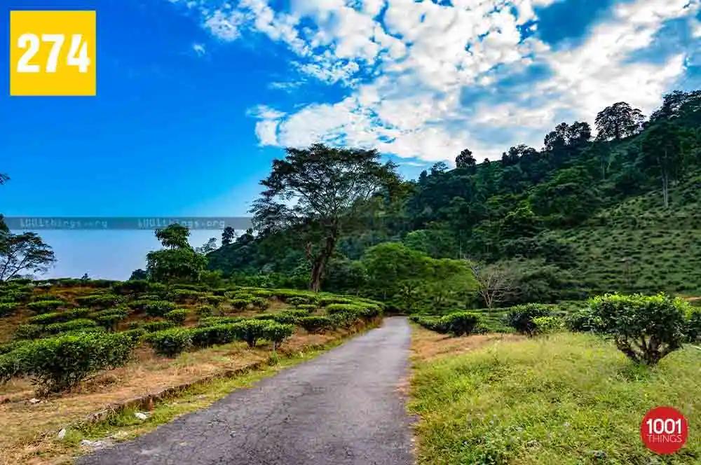 Dudhia to Tingling View Point