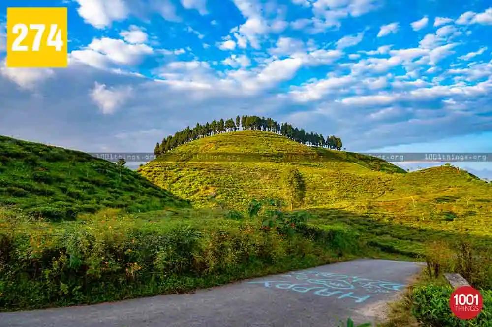 Dudhia to Tingling View Point