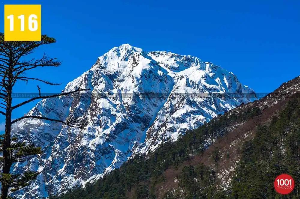 Yumthang Valley