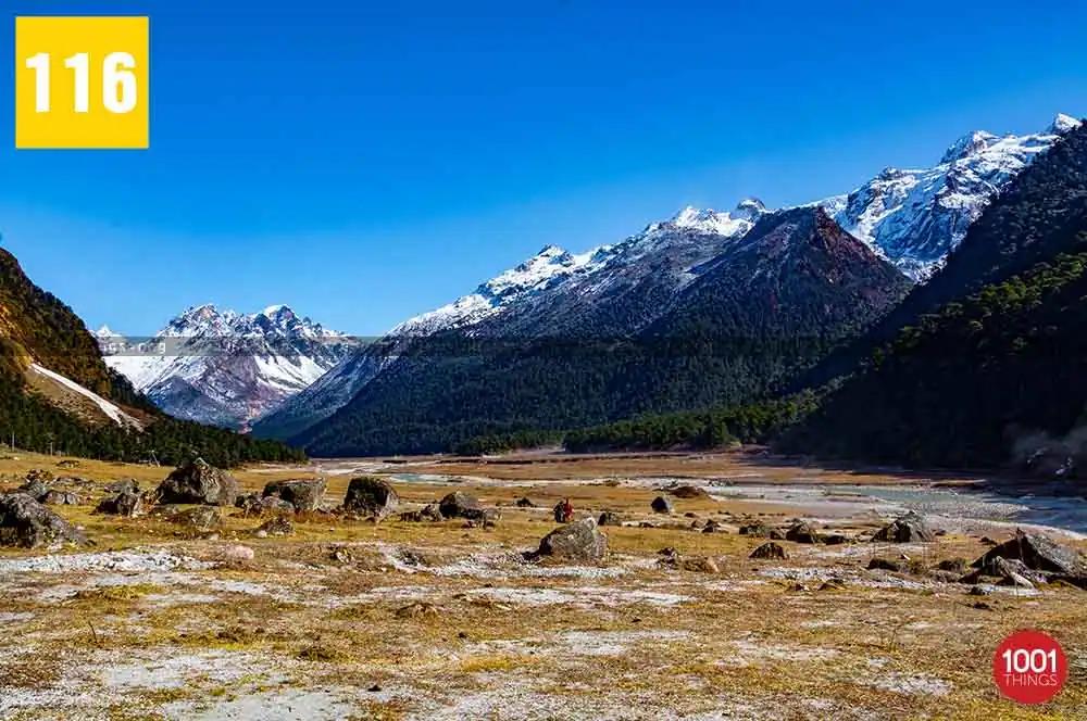 Yumthang Valley