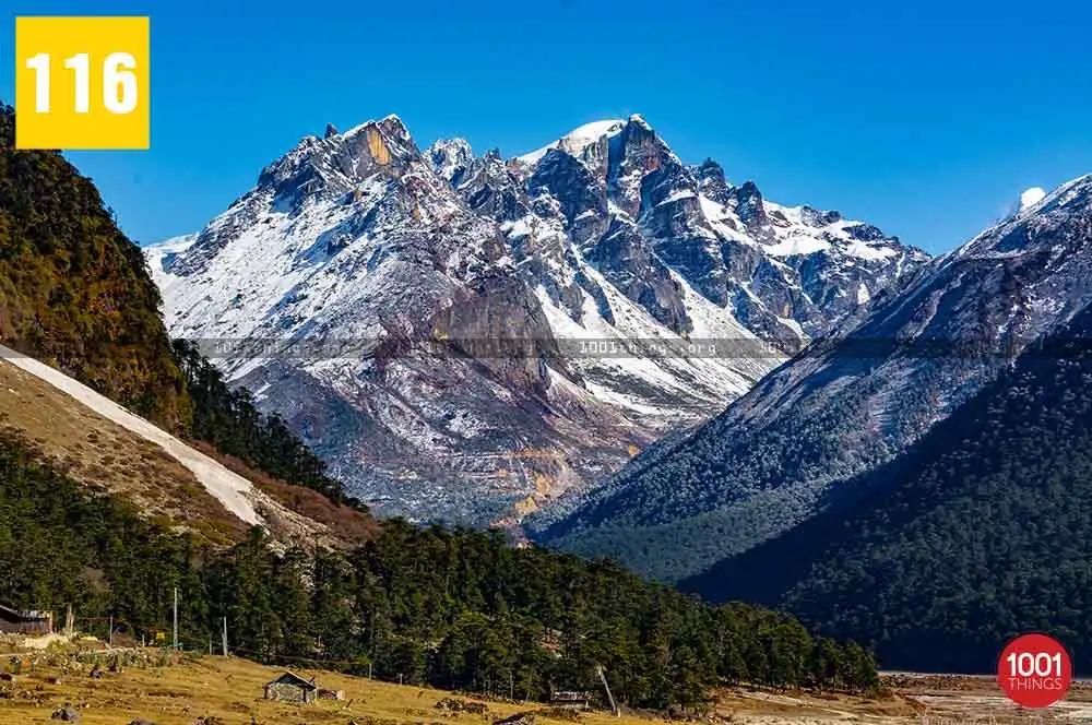 Yumthang Valley