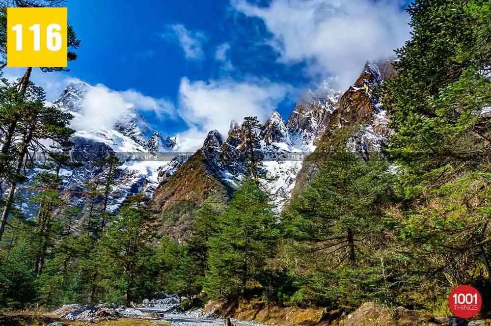 Yumthang Valley