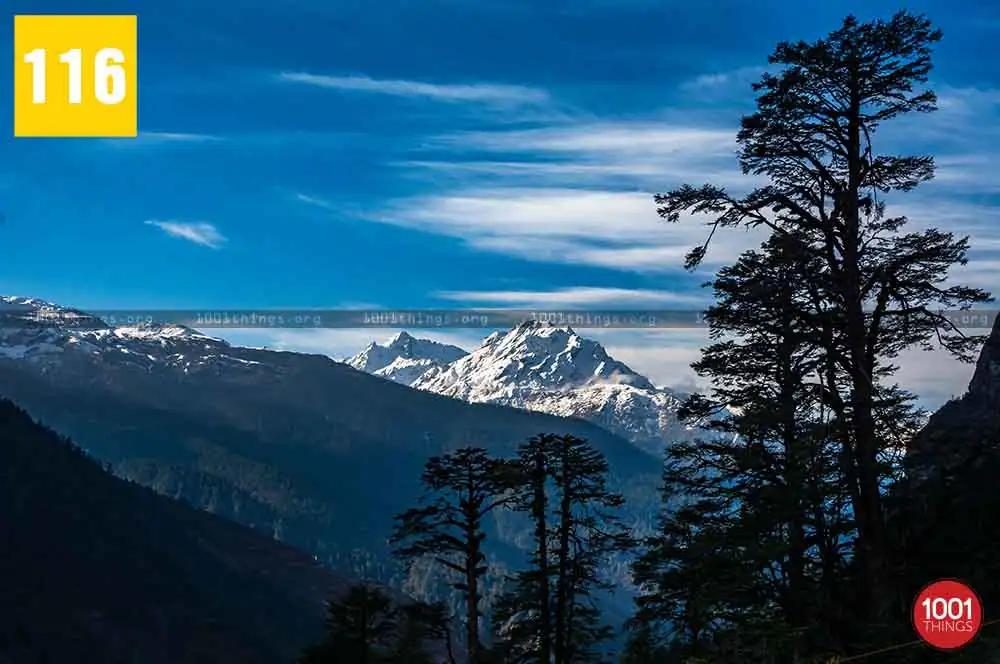 Yumthang Valley