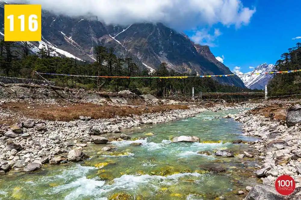 Yumthang Valley