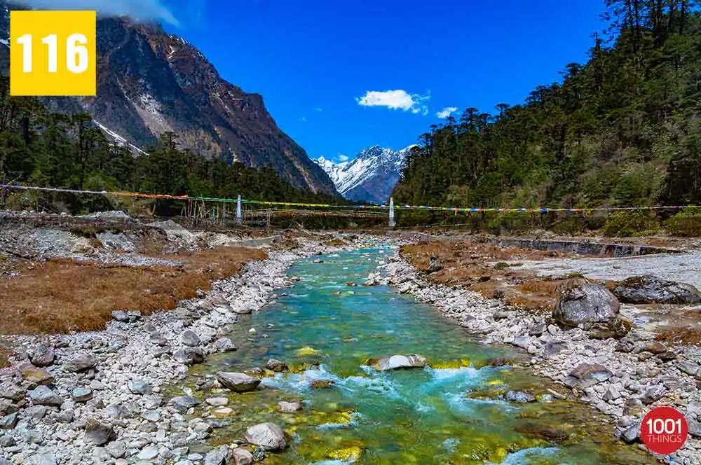 Yumthang Valley