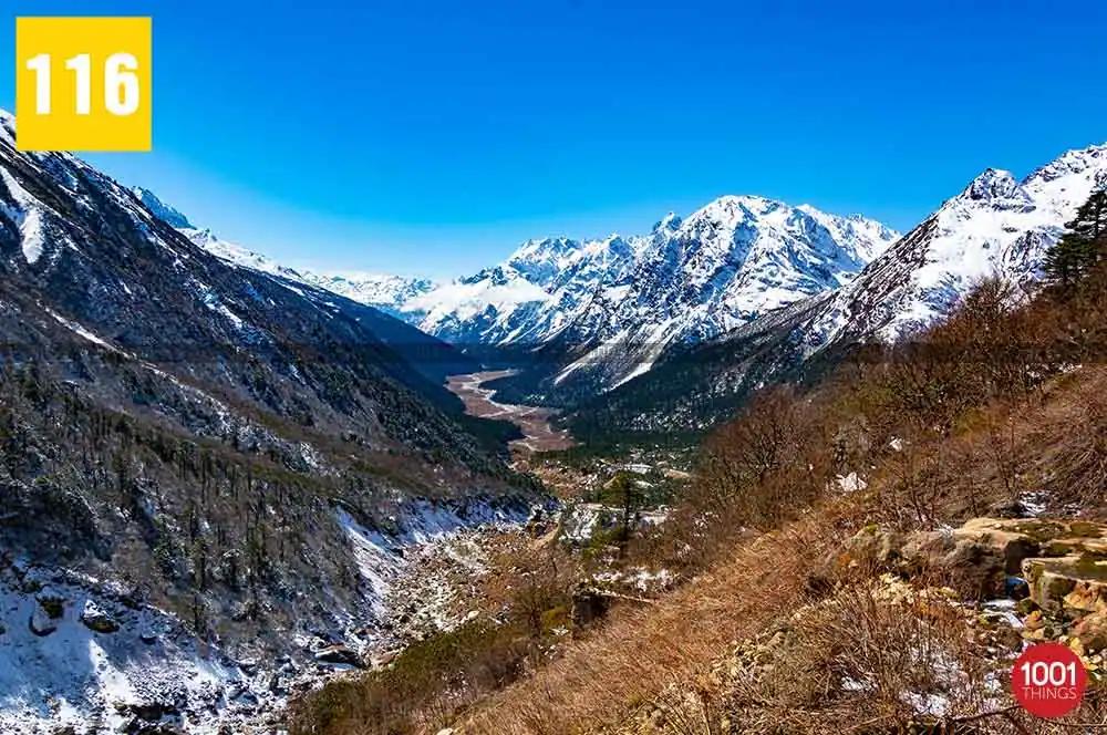 Shingba Rhododendron Sanctuary, Yumthang