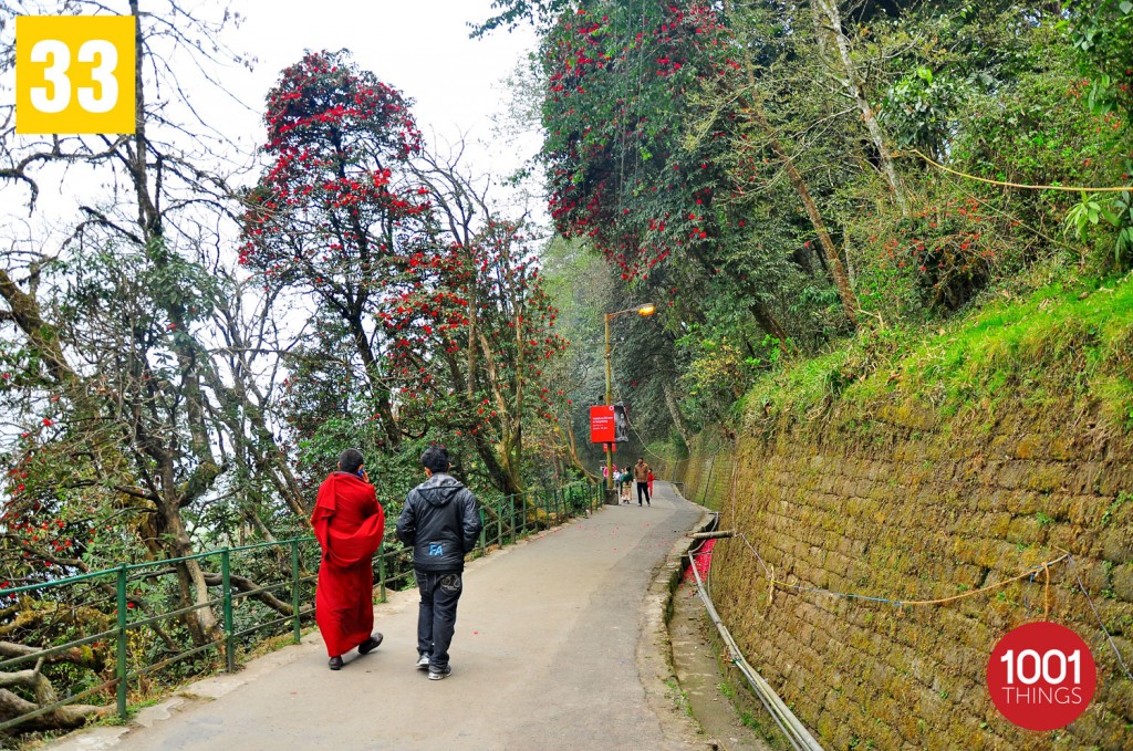 Chowrasta and Mall, Darjeeling , featured image