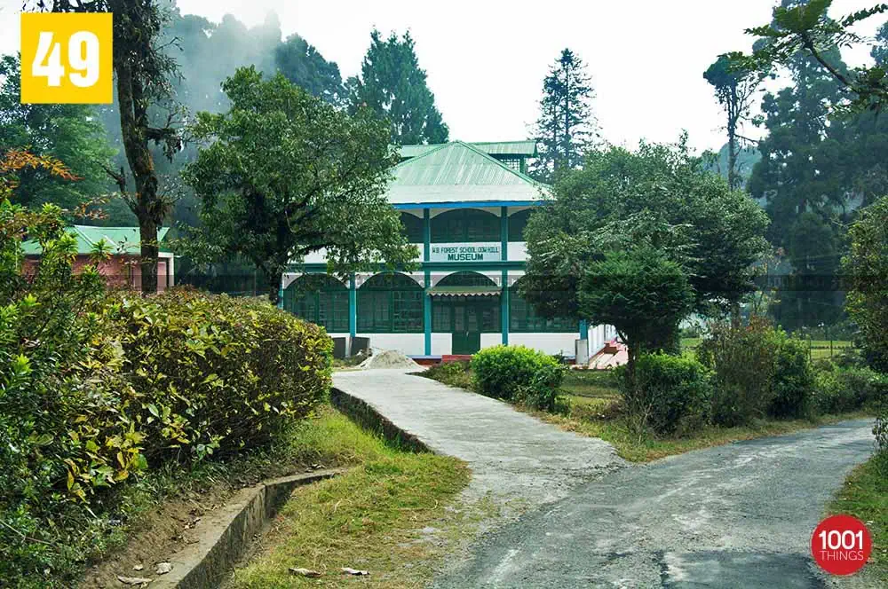 Deer-Park-featured-image-Kurseong