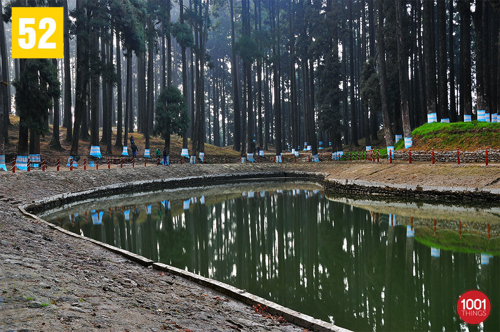 Lamahatta, Darjeeling