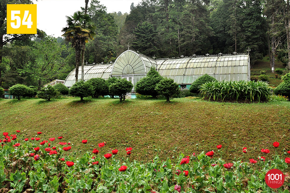 Lloyd Botanical Garden, Darjeeling