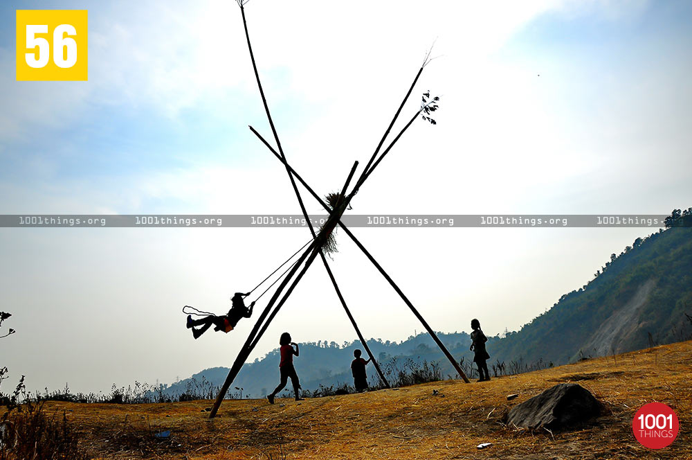 Beautiful silhouette at Dudhia picnic spot, Darjeeling