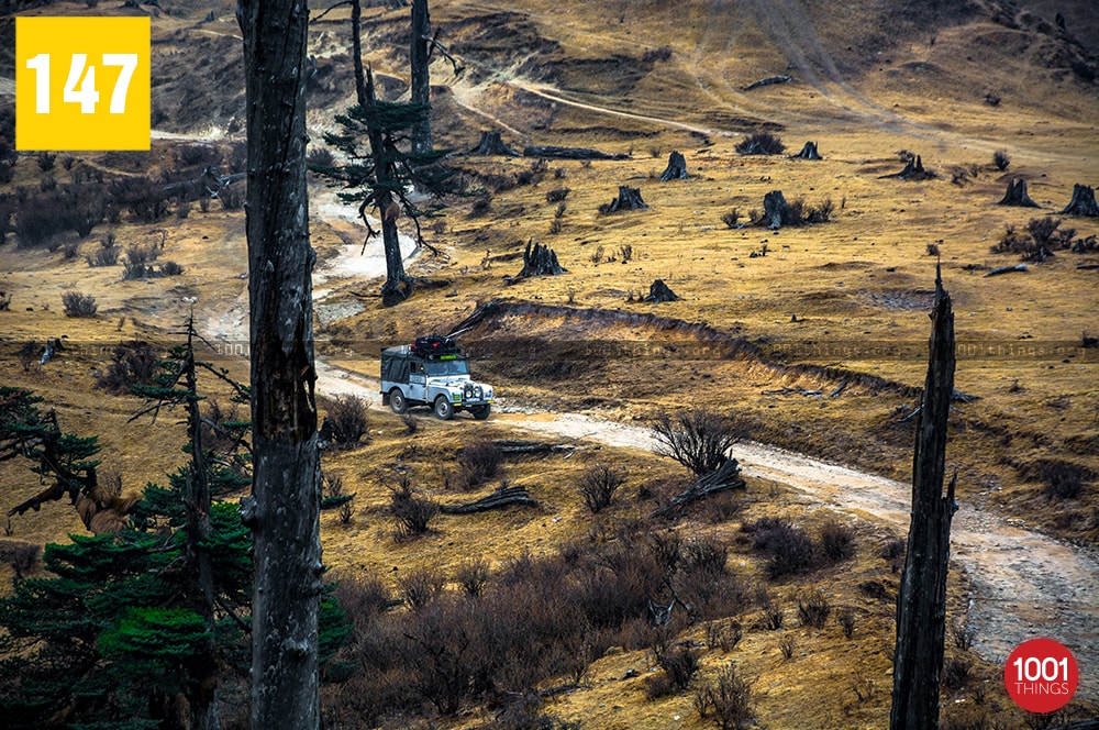 The heritage Land Rovers