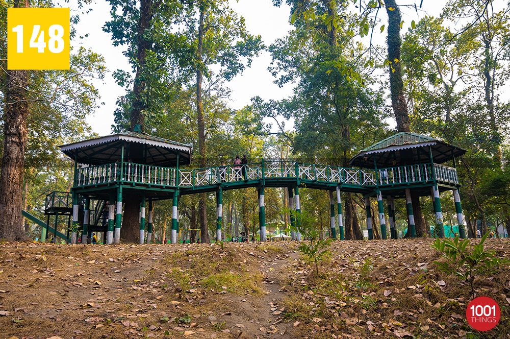 bengal safari park siliguri