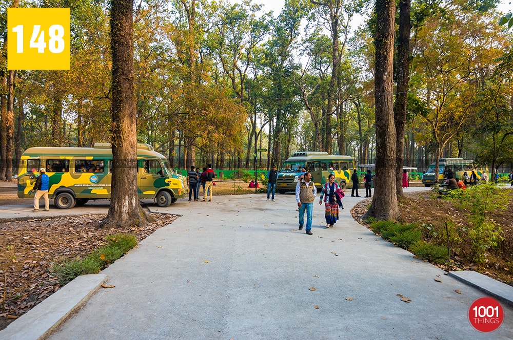 Bengal Safari, Siliguri