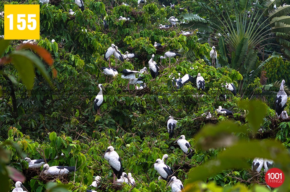 Kulik Bird Sanctuary