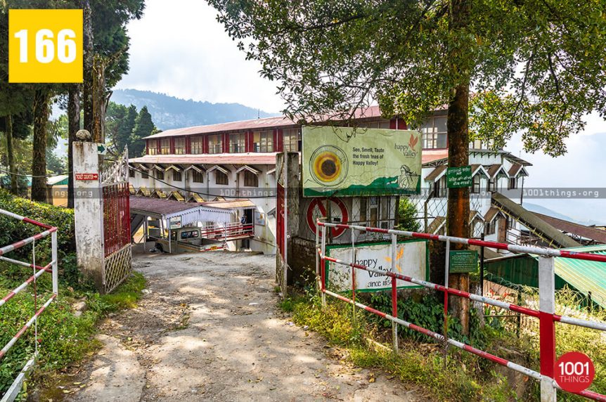 Happy Valley Tea Estate Darjeeling happy-valley-tea-estate-darjeeling