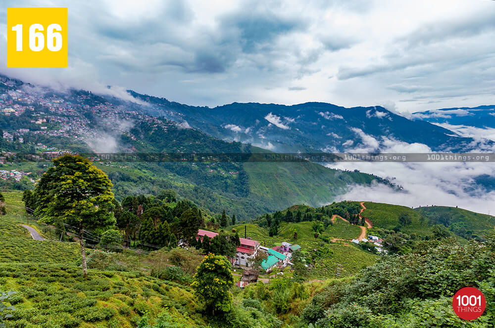 sikkim airport