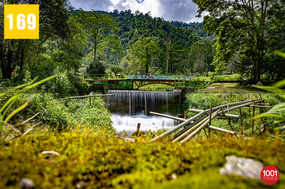 Manjushree Park, Darjeeling=