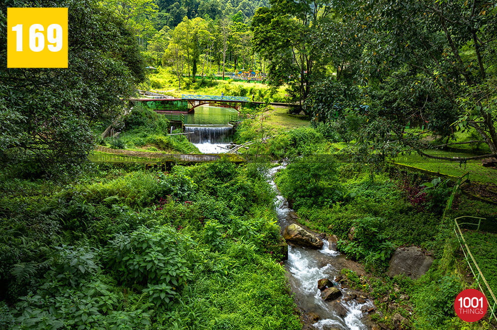 park in darjeeling=