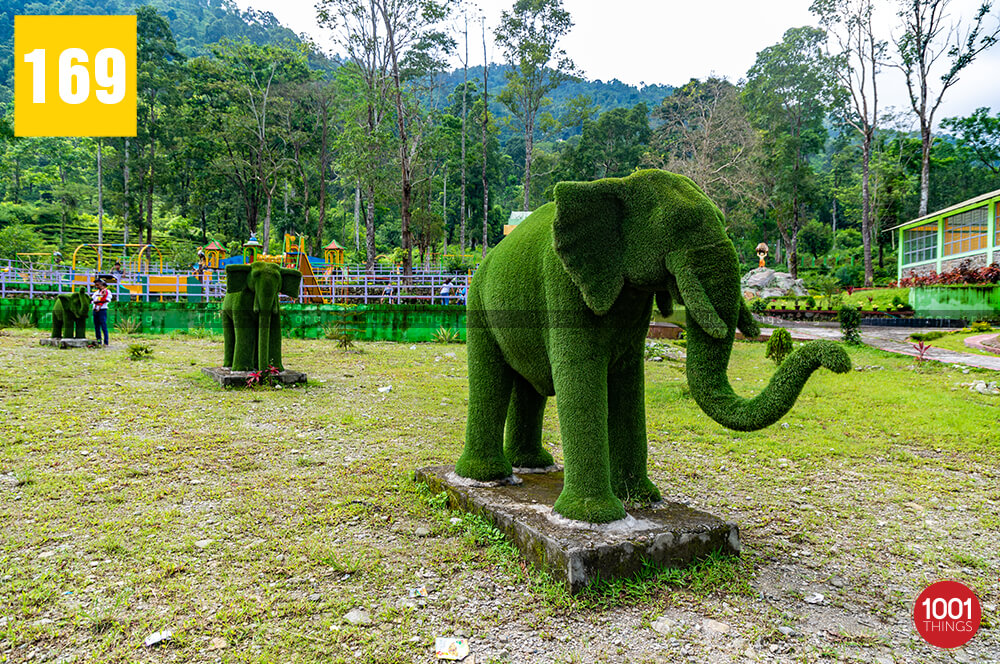 Manjushree Park In Darjeeling westbengals=