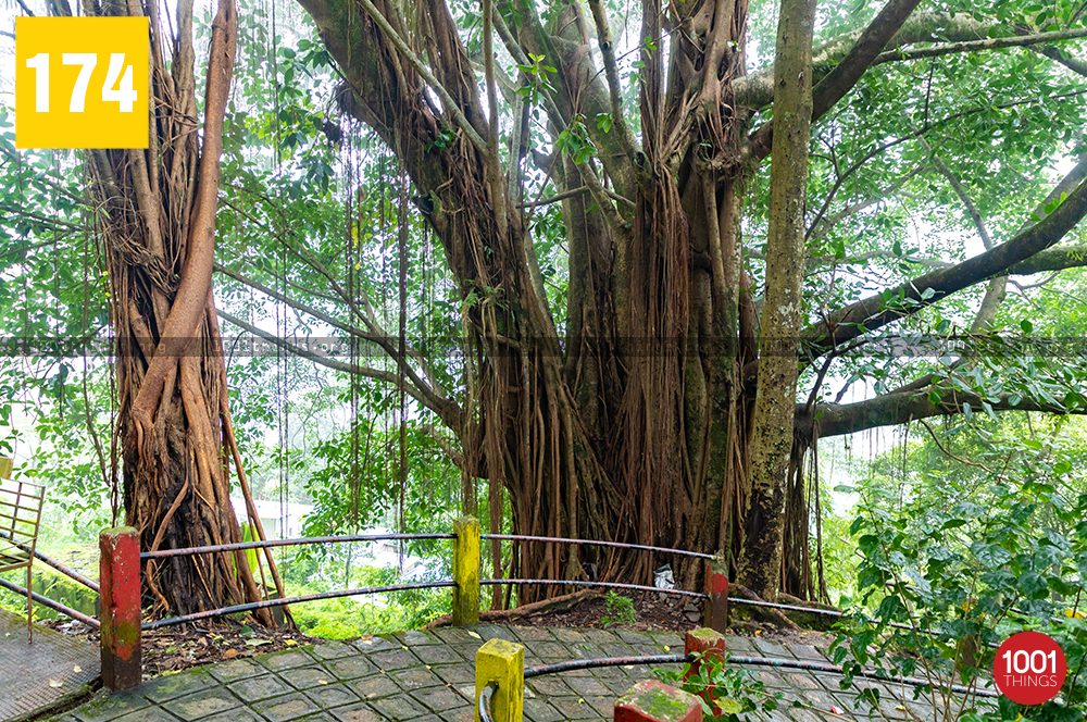 Ambotia Shiva Temple, Darjeeling