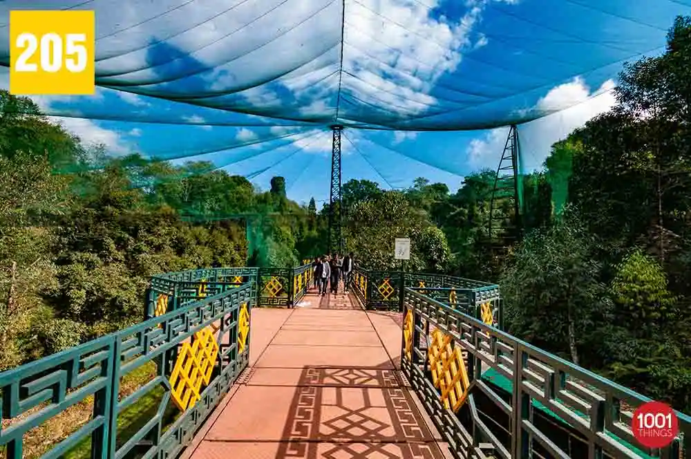 Sidkeong-Tulku-Bird-Park2