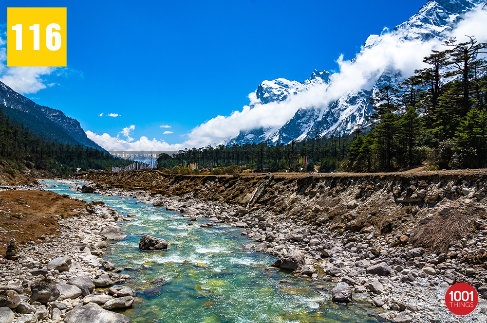 Yumthang Valley