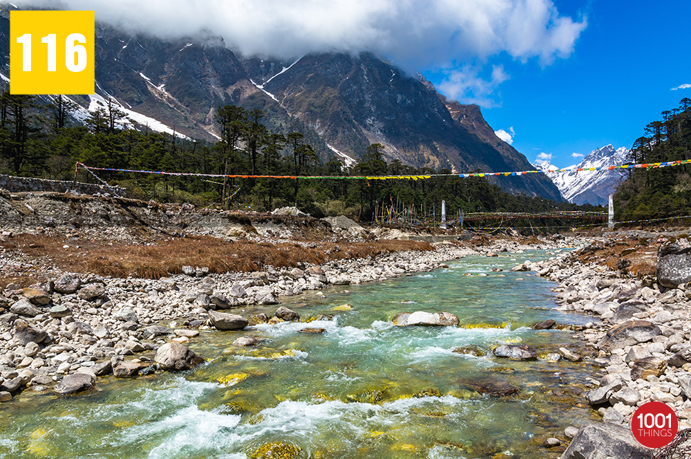 Yumthang Valley of Flowers