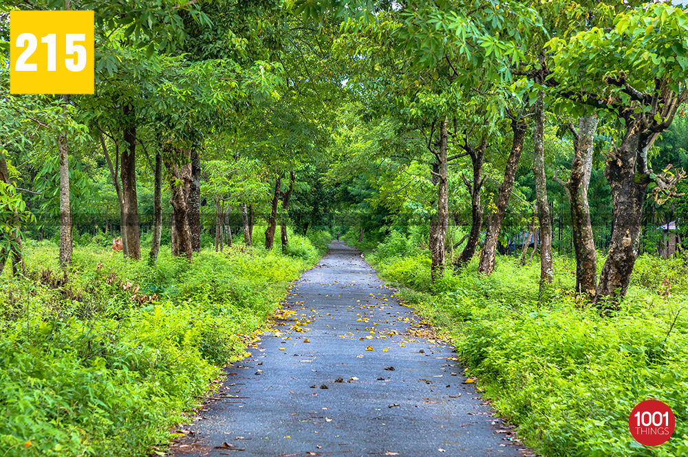 bhutan ghat