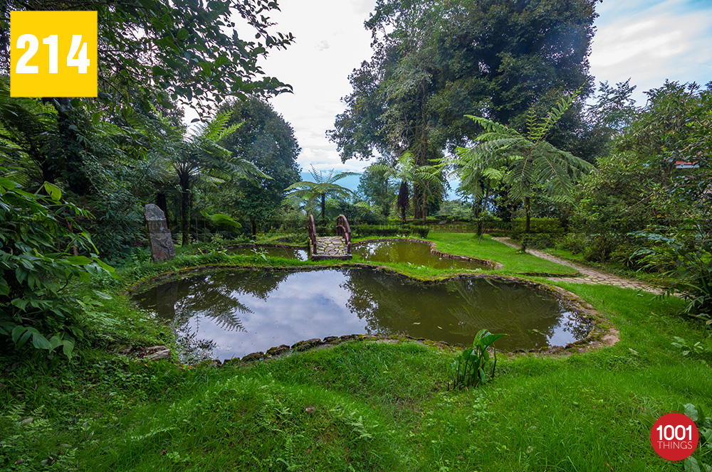 Little pond at state Biodiversity Park, Tendong, Sikkim.